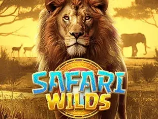 Safari Wilds